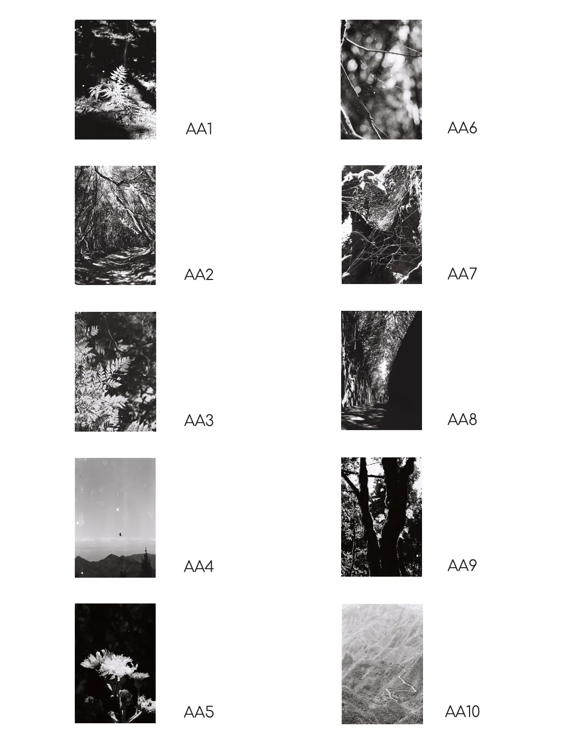 Serie fotográfica Anaga en analógico. Fotografía Artística