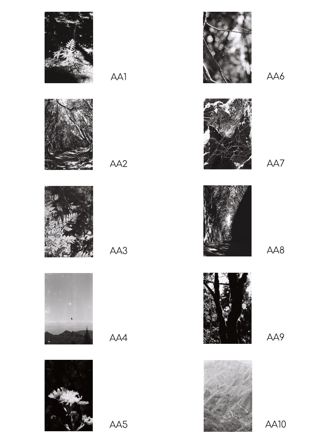 Serie fotográfica Anaga en analógico. Fotografía Artística
